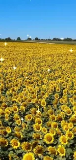 A bright sunflower field under a blue sky with sparkling accents.