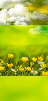 Vibrant landscape with yellow flowers and a green field under cloudy skies.