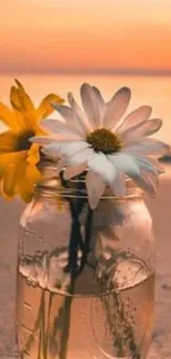 Daisies in a jar with beach sunset backdrop.