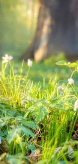 Bright forest floor with sunlit flowers and lush greenery.