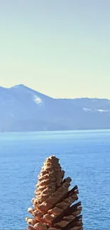 Woman smiling by a lake with a pine cone.