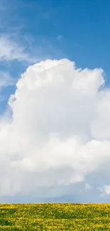 Serene blue sky with a single white cloud over yellow field.