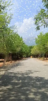 A sunlit road with falling petals creating a serene and scenic view.