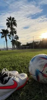 Soccer ball and shoes on green field at sunset with palm trees.