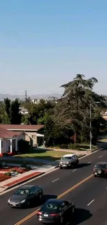 Mobile wallpaper featuring sunny suburban street with trees and cars.