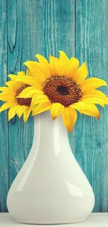 Vibrant yellow sunflowers in a white vase with a teal wooden background.