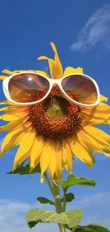 Sunflower wearing sunglasses against a sunny blue sky.