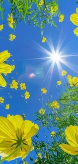 Yellow flowers against a vibrant blue sky with bright sunlight.