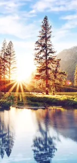 Sunrise over forest reflected in tranquil lake.