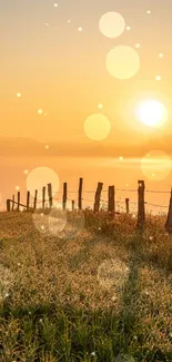 Sunrise over a misty field with a golden sky.