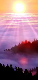 Beautiful sunrise over misty forest with purple and orange sky.