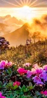 Sunrise over mountains with vibrant pink flowers.