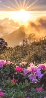 Sunrise over hills with pink flowers in foreground.