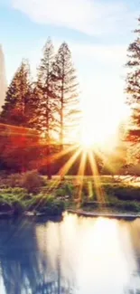 Sunrise over forest with lake reflecting golden light.