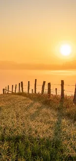 Sunrise illuminating a misty field with a rustic wooden fence.