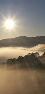 Sunrise over misty mountains with a warm, soothing glow.