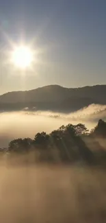 Sunrise over misty mountains with warm sunlight creating a tranquil scene.