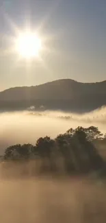 Golden sunrise over misty mountain landscape.