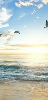 A sunrise over the ocean with birds in flight and tranquil waves.