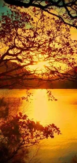 Beautiful sunrise over lake with tree silhouettes in golden hues.