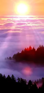 Sunset over misty forest with colorful sky and tree silhouettes.