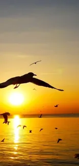 Seagulls soaring at sunset over a golden ocean view.