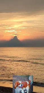 Beautiful sunset over beach with a happy dog in a serene setting.