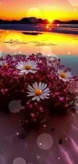 Daisy flowers on beach with stunning sunset reflection in vibrant colors.