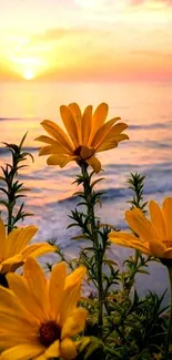 Sunset at beach with yellow flowers and ocean backdrop.