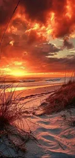 Vivid sunset over beach with orange sky and serene ocean waves.