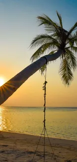 Palm tree with swing at sunset on a tranquil beach.