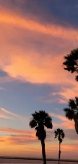 A beach sunset with palm trees silhouetted against vibrant orange sky.