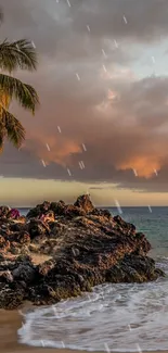 Tropical sunset beach with palm trees, ocean, and golden sand.