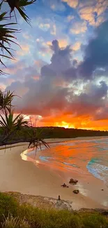 Vibrant sunset over a serene beach with lush foliage.