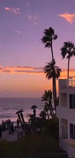 Stunning beach sunset with palm silhouettes and purple sky.