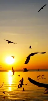 Silhouetted birds flying over a golden sunset beach.