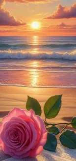 A pink rose on a beach at sunset with waves gently lapping the shore.