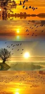 Peaceful sunset with birds flying over serene landscapes.