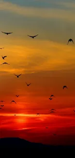 Bird silhouettes against a vibrant orange sunset.