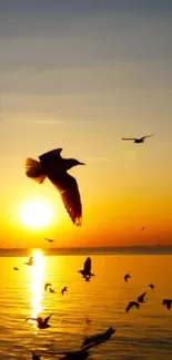 Bird silhouettes at sunset over the ocean.