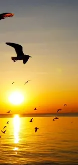 Serene sunset over ocean with flying birds.