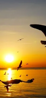 Seagulls soaring at sunset over golden ocean waves.