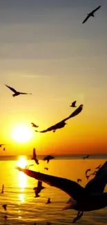 Birds flying over ocean at golden sunset.