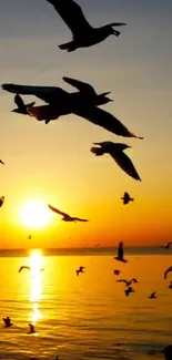 Birds silhouetted against a vibrant orange sunset over the ocean.