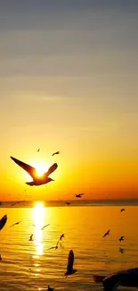 Silhouetted birds flying over ocean during a vibrant orange sunset.