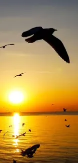 Silhouetted birds flying over an ocean at sunset with orange and blue hues.