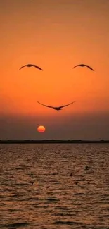 Serene sunset with flying birds over ocean and orange sky.