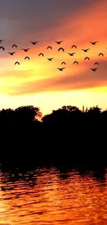 Silhouetted birds flying over a sunset-lit lake with vibrant orange sky.