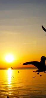 Sunset with birds over calm ocean waters, creating a serene and vibrant scene.