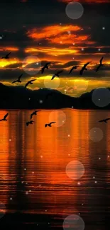 Silhouetted birds fly over sunset-lit water reflecting an orange sky.